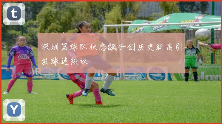 深圳篮球队状态飙升创历史新高引发球迷热议