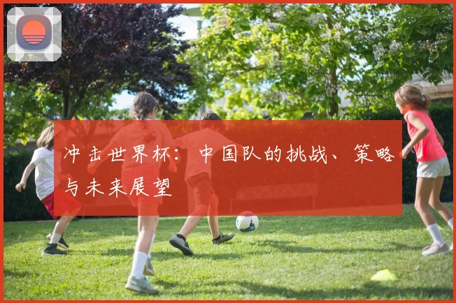 冲击世界杯：中国队的挑战、策略与未来展望